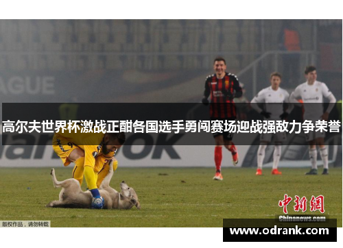 高尔夫世界杯激战正酣各国选手勇闯赛场迎战强敌力争荣誉