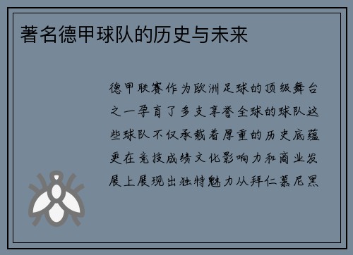 著名德甲球队的历史与未来